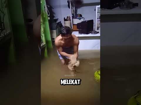 Dapat Ikan Saat Banjir di Dalam Rumah! thumbnail