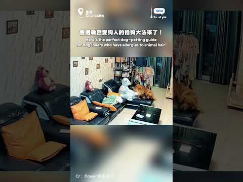 會過敏但愛狗人的擼狗大法來了！#狗狗 #可愛 #愛狗人士 thumbnail