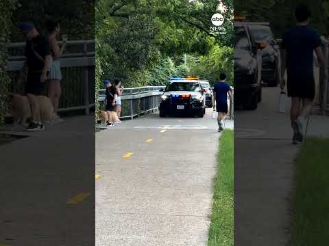 Officer calls out oblivious dog walker blocking his cruiser thumbnail