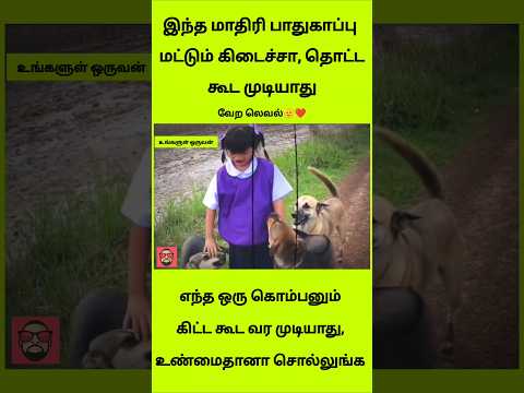 இந்த மாதிரி பாதுகாப்பு இருந்தா.. யாராலயும் தொட முடியாது! 🐕❤️ thumbnail