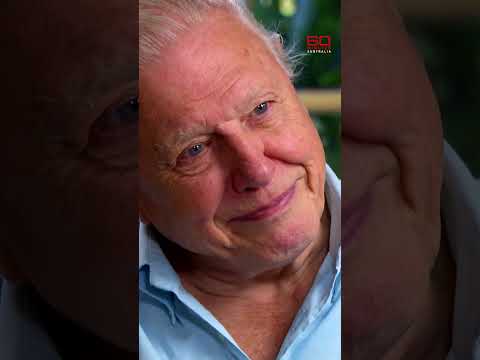 Sir David Attenborough reveals his favourite animal | 60 Minutes Australia thumbnail