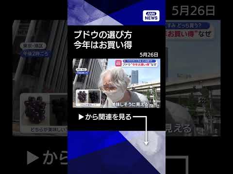 【ニュース】「ツヤツヤ」と「くすみ」どっち買う？　ブドウ“今年お買い得”なぜ #shorts thumbnail