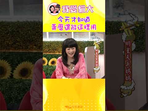 今天才知道 黃曆還能這樣用【康熙來了 #shorts】 thumbnail
