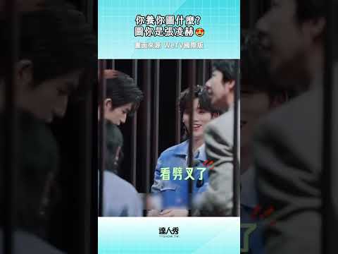 我養豬殺你？🤣🐷（豬才是真愛##WeTv國際版 #開始推理吧4#張凌赫 #劉宇寧 #金靖 #丁程鑫 #周柯宇 thumbnail
