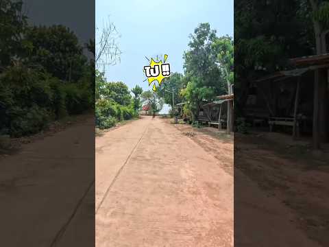 วิ่งมาตั้งหลักเฉยๆครับ #funny thumbnail