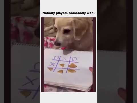 Bro won by being hungry 😂 follow for more  #shorts thumbnail