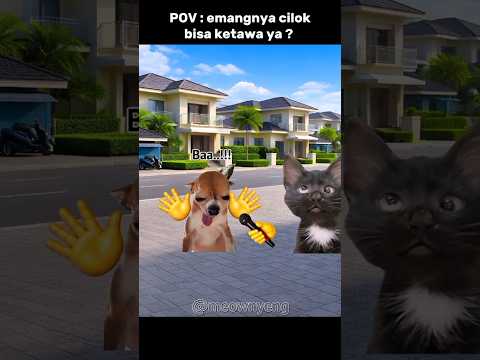 bener juga sih jawabannya #komedi #memes #lucu #cat #memekucing #trending thumbnail