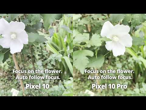 Pixel 10 vs Pixel 10 Pro_Auto follow focus test thumbnail