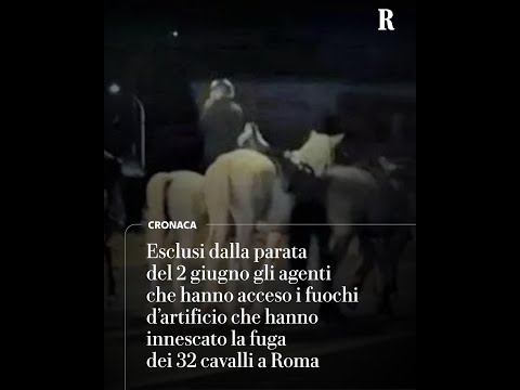 Fuga cavalli, esclusi dalla parata del 2 giugno gli agenti che hanno acceso i fuochi thumbnail