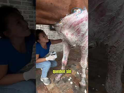 Ocho Horas En El Río 🐴 thumbnail