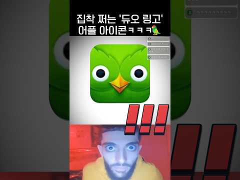 집착 쩌는 '듀오링고' 어플 아이콘 🦜.jpg thumbnail