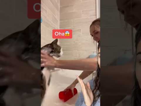 Yok Artık? thumbnail