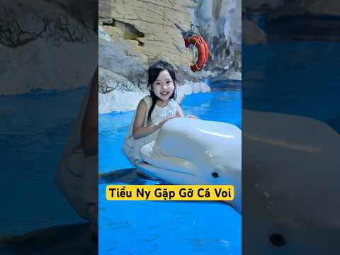 Tiểu ny gặp gỡ cá voi thumbnail
