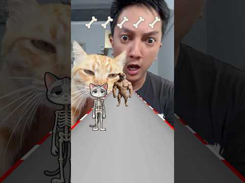 Kucing Garong Melawan Anjing Berotot thumbnail