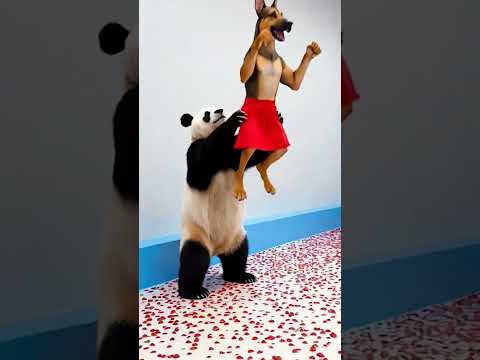 Marvelous Dancing Polish Cow funny panda dog cow dance Cow Song Videos cow farm strawberry asmr thumbnail