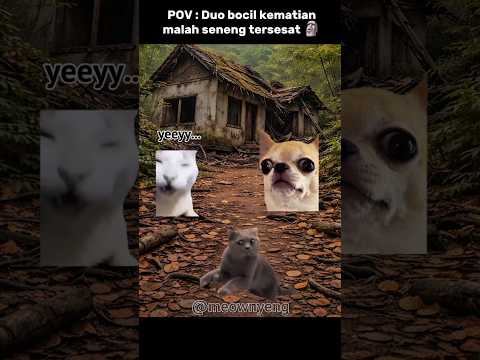 duo gen alpha ketika tersesat 🗿 #memes #cat #kucinglucu #komedi #trending thumbnail