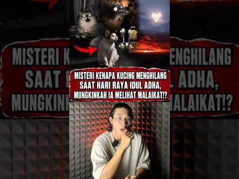 Misteri Kenapa Kucing Menghilang Saat Hari Raya Idul Adha, Mungkinkah Ia Melihat Malaikat!? #shorts thumbnail