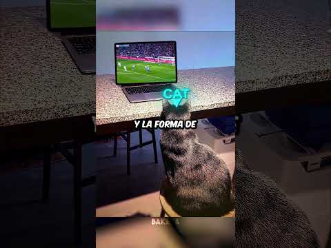 Cuando Cat vio el gol de Ronaldo y luego    ☠️ thumbnail