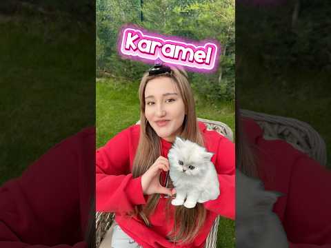 Kızların vs erkeklerin kedilere koyduğu isimler thumbnail