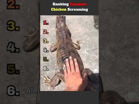 DON'T CHECK THE SOUND ?? thumbnail