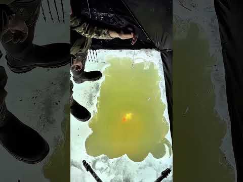 L’acqua ghiacciata inganna la vista!😳 thumbnail