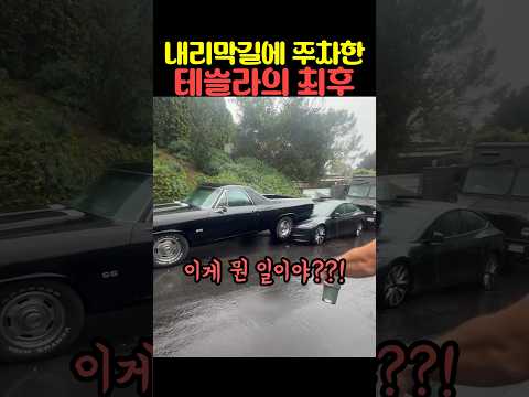 내리막길에 주차한 테슬라의 최후 thumbnail