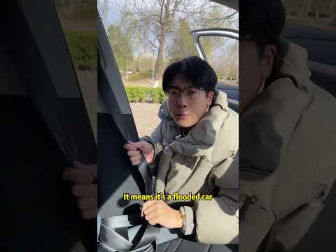 How to use your car's seat belts? #car thumbnail