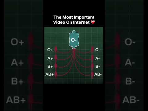 The Most Important Video On Internet ? thumbnail