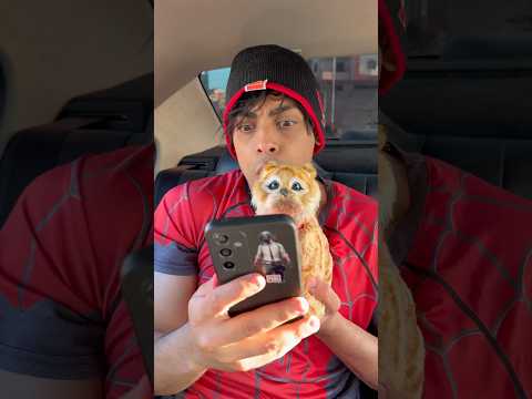 ازااااي القطة فالسيارة ?? thumbnail