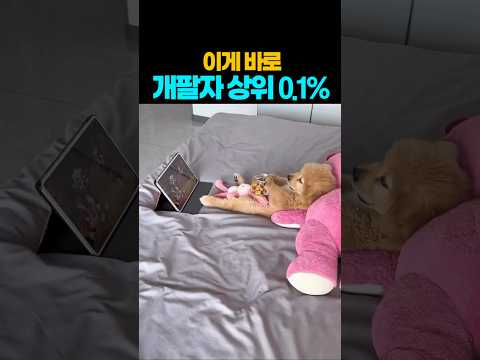 ❤️180만뷰❤️ 이 귀여운 골댕이는 최고의 삶을 사는 중이에요 ^^  #반려견  #강아지 #댕댕이 #애견영상 #골든리트리버 thumbnail
