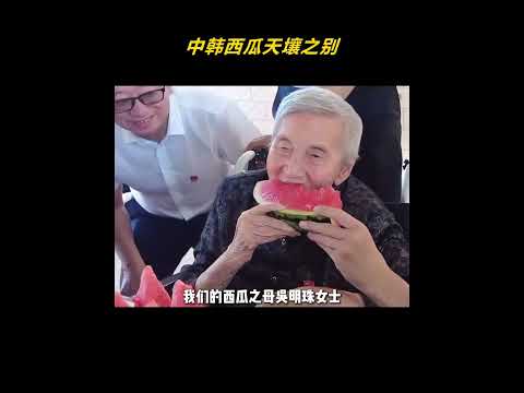 中韩西瓜天壤之别 #西瓜 #外国人 #破防 #吴明珠 #万万没想到 thumbnail