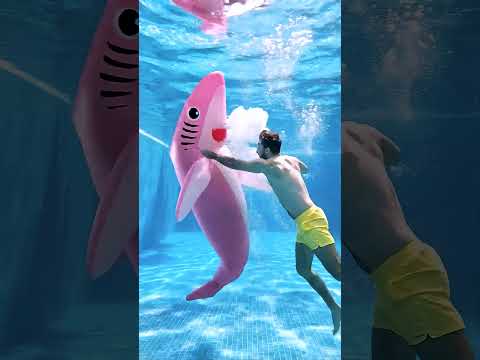 Shark entered the pool ?? thumbnail