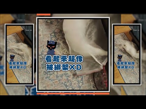 防誤食頭套買太大　法鬥整隻像被綁架 thumbnail