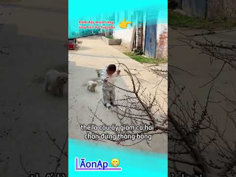 Kéo tới tối cũng được ? #laonap thumbnail