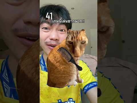 เกมหวีขนแมวเป้า จะถึง 100 ไหมนะ!!?🙀🏆👍🏼 #ไอต้าวศิลา #comedy #ศิลา #funny #ดูให้จบ thumbnail