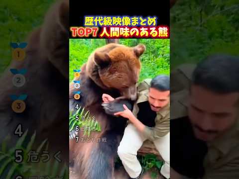 海外でバズったクマの恐ろしい瞬間TOP7 thumbnail