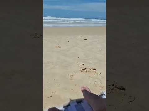 Đại tiệc khoai tây chiên bên bờ biển #memevietnam #meme #funny #haihuoc thumbnail