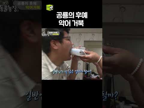 손가락 조심.... #달리 #DALI #TV동물농장 #shorts thumbnail