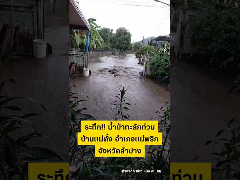 น้ำป่าทะลักบ้านแม่ตั๋ง 21/5/69 #ลำปาง #อำเภอแม่พริก #บ้านแม่ตั๋ง #shortvideo #shorts thumbnail