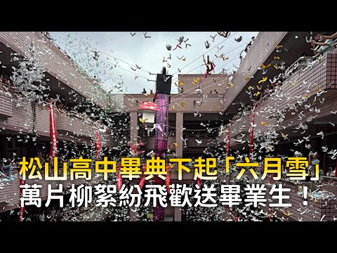 松山高中畢典下起「六月雪」　萬片柳絮紛飛歡送畢業生！ thumbnail