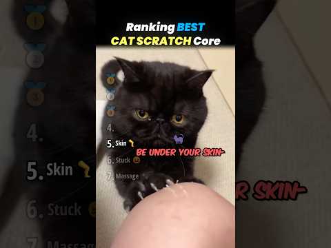 Ranking FUNNIEST CAT SCRATCH Core Moments!! 🐱🩹 thumbnail
