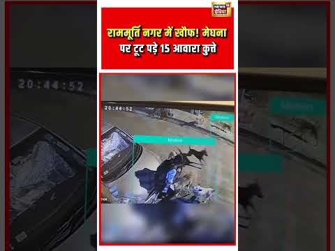 Street Dogs Attack On Girl | राममूर्ति नगर में खौफ! मेघना पर टूट पड़े 15 आवारा कुत्ते | #shorts thumbnail