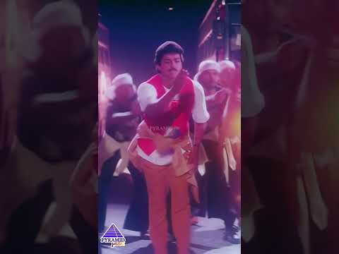 Bombai Party Video Song | Coimbatore Mappillai Movie Songs | Vijay | Sanghavi | #ytshorts thumbnail