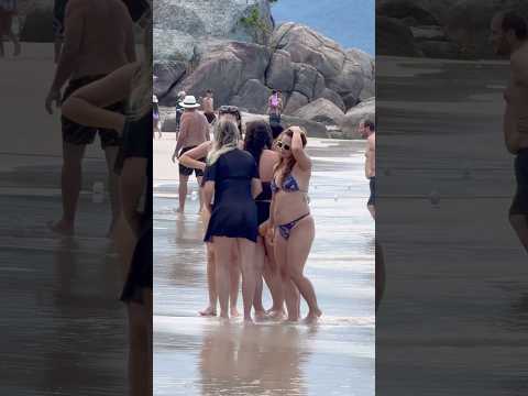 ?? Florianopolis Canasvieiras Beach A Wonderful Day thumbnail