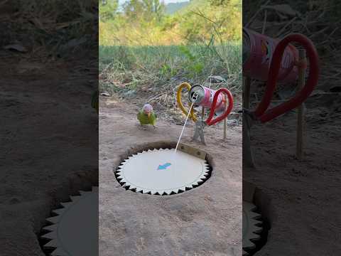 Innovative Technique Parrot Trap #shorts thumbnail