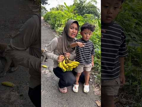 Dikejar monyet liar thumbnail