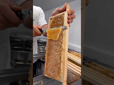 Why Beekeepers Uncap Honeycomb #shorts thumbnail