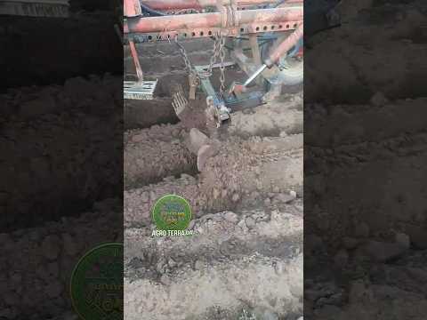 ОСЬ ЯК ПОТРІБНО ПІДГОРТАТИ КАРТОПЛЮ ??? #tractor #farming #agro #трактор #farm thumbnail