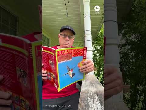 Hummingbird flutters around man reading book about how to attract hummingbirds thumbnail
