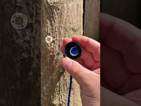 Master Of the Tip thumbnail